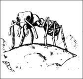 Giant ant