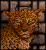 BlackieJosieBeauty.png