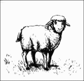 Sheep - The Codex of Ultima Wisdom, a wiki for Ultima and Ultima Online