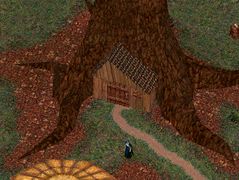 Development history of Ultima IX - The Codex of Ultima Wisdom, a wiki ...
