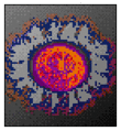 Thumbnail for version as of 09:19, 26 October 2010