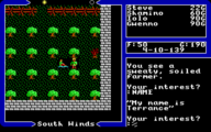 The orchard in Ultima V