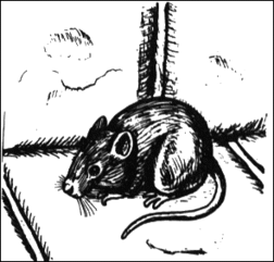 Mice - The Codex of Ultima Wisdom, a wiki for Ultima and Ultima Online