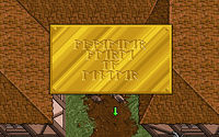 Runic Alphabet - The Codex of Ultima Wisdom, a wiki for Ultima and ...